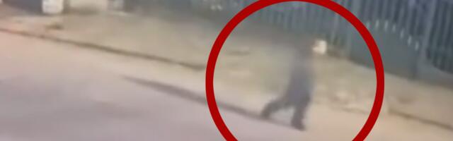 "NIJE BIO U VEŠERAJU ILI PODRUMU" Otkriveni najnoviji detalji nalaska nestalog dečaka u Nišu - vlasnik hostela otkrio šta je dete radilo