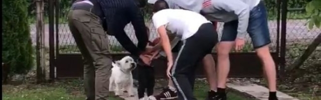 SAMO GA KOŠARKA ZANIMA! Sin Danila Anđušića nasledio talenat od tate