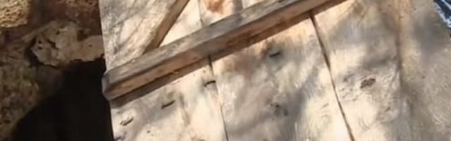 Crkvica skrivena u hrastu, naša a jedinstvena u svetu