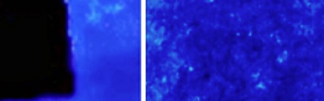 Satelit NASA snimio vanzemaljski brod 10 puta veći od Zemlje?! (FOTO)