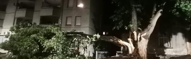 Veliki deo Gornjeg Milanovca bez struje posle sinoćnjeg nevremena