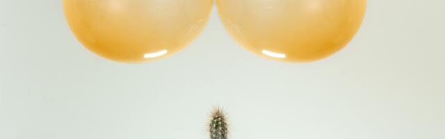 Analni seks: prvi put