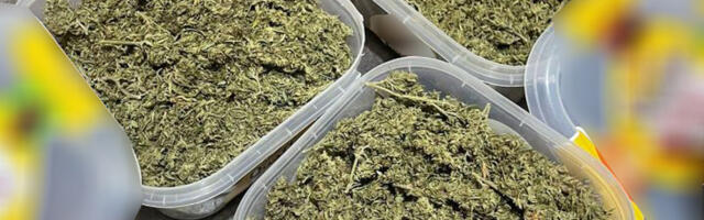 U stanu krio 5,4 kilograma marihuane i 190 grama kokaina