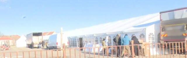 Na buvljaku u Negotinu niče Ćacilend: Očekuje se Vučić