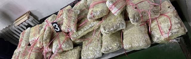 U Novom Sadu uhapšen osumnjičeni za proizvodnju marihuane