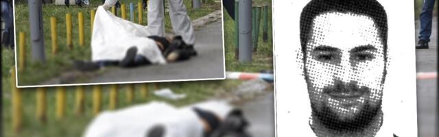 "Ubi me! Upomoć!"Brutalna likvidacija iz zasede