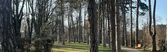 Dva najlepša parka u centru Čačka dobila ime: Zvaće se po legendarnoj glumici i Milici Rakić