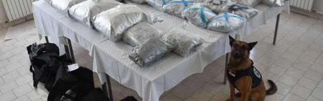 Kod Tutina zapluhenjeno više od 120 kg marihuane