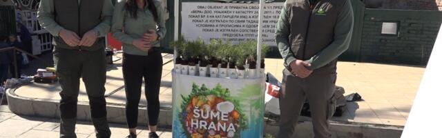 Podela sadnica građanima