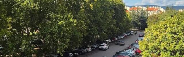 Nagnute grane „prete“ vozilima i prolaznicima na parkingu u Nišu