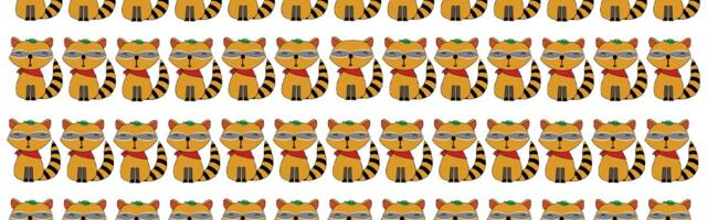 Vreme kreće SAD - imate 30 sekundi! Mozgalica sa rakunima koja je namučila internet, samo najuporniji uspevaju