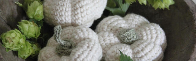 Posetioci i ljubitelji zemunske pijace uživaće tokom vikenda: “Bum market” donosi veliki izbor ručno rađenih proizvoda