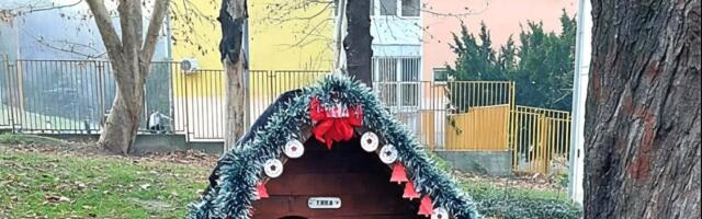 Poziv na novogodišnju akciju: Ulepšajte život našim najslađim sugrađanima