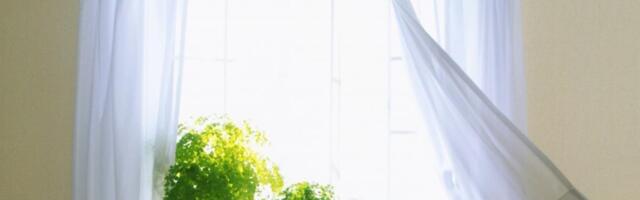 Trik koji vraća belinu zavesama posle jednog pranja: Samo 5 kašika ovoga i ponovo će biti kao nove!