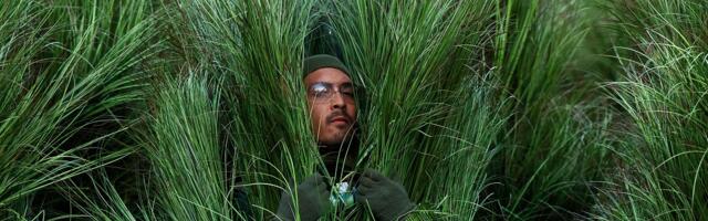 Koliko su zaradili izvođači koji su glumili biljke na Super Bowlu?