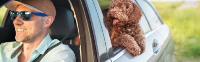 Ne ostavljajte ljubimca kod kuće: Ovo su idealne destinacije za zajednički odmor