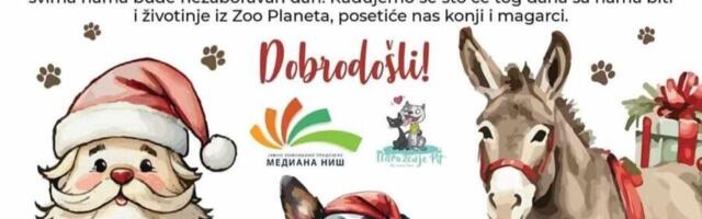 Otvoreni dan u prihvatilištu za pse u Nišu. Prilika da neki četvoronožac nađe svoj dom za zauvek