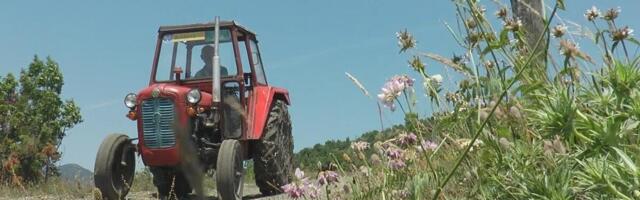 MALOLETNIK VOZIO TRAKTOR BEZ DOZVOLE, DIREKTNO IZAZVAO NESREĆU! Poginuo motociklista u Banatskom Novom Selu, oglasilo se tužilaštvo