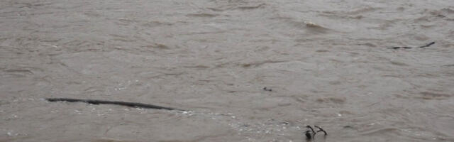 U NAREDNA 24 SATA OVIH 7 REKA ĆE BITI PRED IZLIVANJEM: RHMZ izdato hitno upozorenje