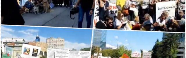 "NAPUSTIO SI OVAJ SVET OKOVAN STRAHOM I BOLOM!" Protesti u Sarajevu zbog brutalno ubijenog psa: Muškarac ga upucao, mučio, a potom ŽIVOG ZAKOPAO (FOTO, VIDEO)