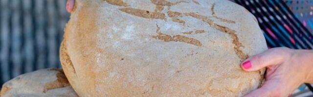 Kafanska pogača iz bivše Jugoslavije: Pravi se od svega par sastojaka, a meka kao duša