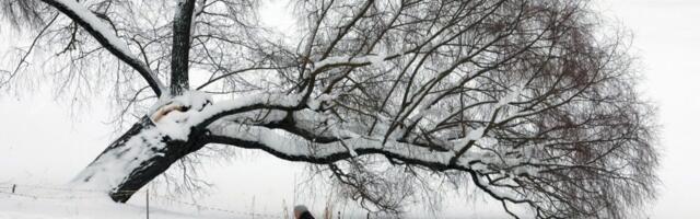 (VIDEO) Ovo nije viđeno decenijama: Vanredno stanje na Kamčatki, snežni nanosi preko 2,5 metra