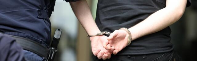 Unuk vređao babu i dedu, pa pretio nožem da će ih ubiti: Užas u Barajevu