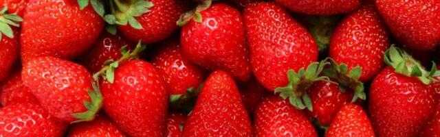 Trik za najslađe i najkrupnije jagode: Rađaju kao lude, plodovi ogromni i sočni