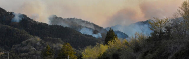 Пожари на северу Јапана убрзано се шире, трећина становника евакуисана