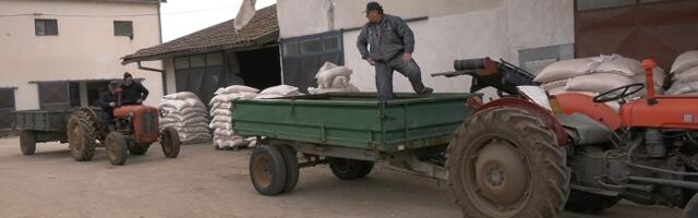 Почела подела меркантилног кукуруза у општини Чајетина