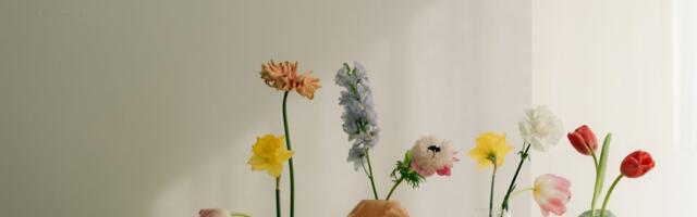 Više od cveta: Osmi mart je dan koji slavi žene, ali i podseća da ženska prava nisu poklon, već borba