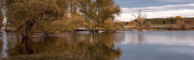 Blagojević: Srbija spremnija za borbu sa poplavama nego 2014, ali još nije bezbedna