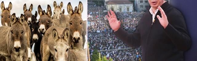 PREDSEDNIK VUČIĆ PREBROJAVA Koliko MAGARACA Srbija ima u ovom trenutku