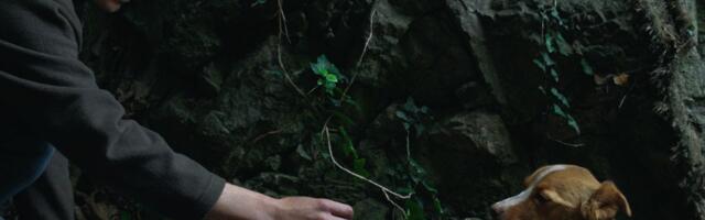 "Mnogo je više ona mene spasila nego što sam ja nju": Kako je pas Lija pomogla Stefanu u najtežim trenucima