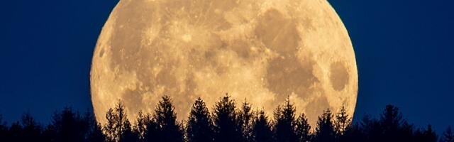 Do ponoći POGLEDAJTE U NEBO i uradite ovo: Nad Srbijom se odvija nebeski spektakl