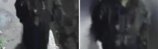 DEVOJKA (19) POLUGOLA I BEZ DOKUMENATA NAĐENA MRTVA: Objavljen snimak na kom se vide ona i visoki, mršavi muškarac!