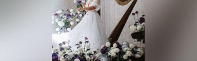 Магија харфе уживо