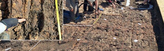 Zagonetna MEGASTRUKTURA iskopana u okrugu Botošani: „Objekat je izgrađen na specifičan način“