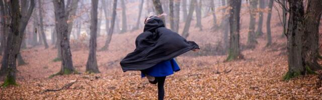 Makedonku (14) mama prodala za brak, videli je kako modra trči ulicom: Prošla pakao, mladoženja iz BiH uhapšen