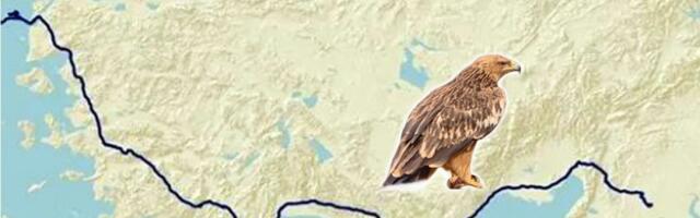 Naš Feliks zarobljen u Bejrutu: U toku je prikupljanje sredstava da se prebaci u Srbiju