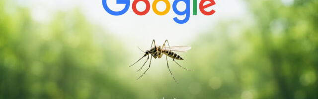 Tehnologija i biologija u zajedničkoj misiji: Google traži dozvolu da pusti 32 miliona komaraca