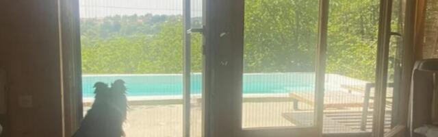 Pevačica grad zamenila mirom u prirodi: Oko njene kuće šuma i pašnjaci, a beg od vrućina nalazi na svom bazenu