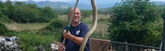TREBINJSKI HEROJ! Mišo obično uklanja bombe i mine, ali i zmije i stršljenove: Od ovih ulova ćete se naježiti!