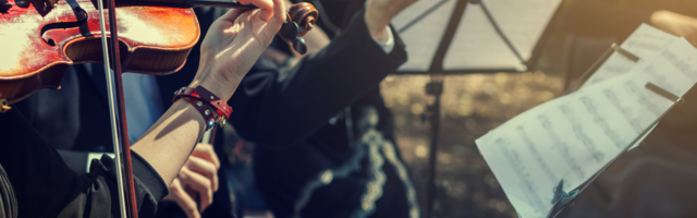 “Bez pomoći države postoji mogućnost da Kolarac prestane sa radom”