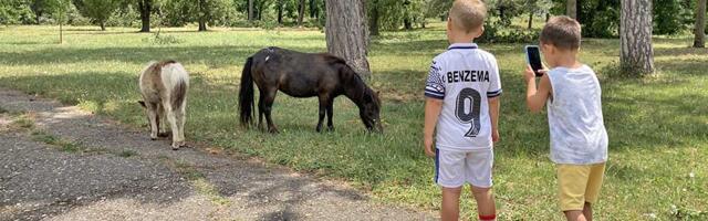 Sofija i Luka su najpopularnija imena dece u Srbiji, a koja su najčešća u našem okrugu