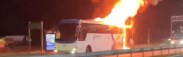 GORI AUTOBUS KOD SURČINA Buktinja &quot;progutala&quot; vozilo (VIDEO)