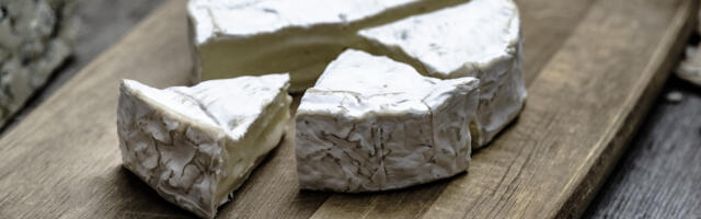 Ne samo što je pravi delikates, Camembert sir poboljšava i pamćenje