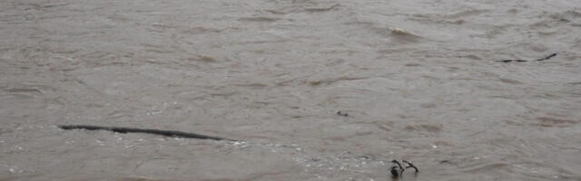 Ove tri reke u Crnoj Gori su pod budnim okom nadležnih: Posebno se prati nivo jedne!