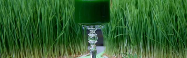 Detoksikacija organizma krajem zime – kako pripremiti telo za proleće