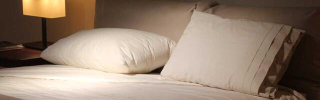 Zrenjaninki zaplenjen bračni krevet zbog duga prema JKP „Čistoća i zelenilo“